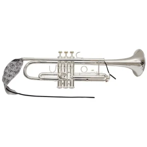 Limpiador BG para tudel Trompeta- A31T